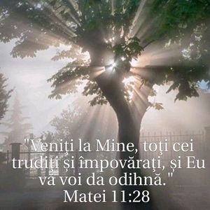 97A5B757-74A2-4D8C-AE3A-C3F020966483