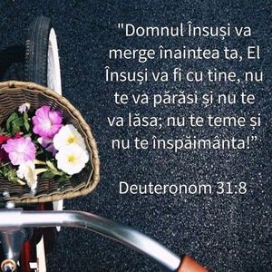 4DE1411F-E6CE-49CF-B662-F47A70138169
