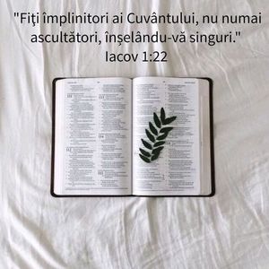A1001B3F-0881-4274-AA2B-3A2F1C897314