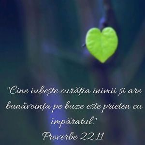 B051A27F-188D-493D-81B0-4E40973C0A60