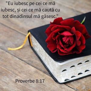 AE645E27-DD8A-42D8-AF9B-7D8E95FE81D4