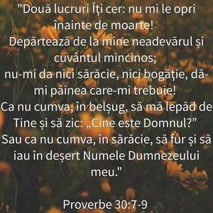7636A4FF-E352-426E-8A7E-0569CFE0AD7A