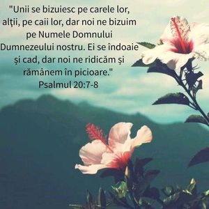 D6F7BBA8-CF84-4B08-A8F8-E7AE2FBD396B