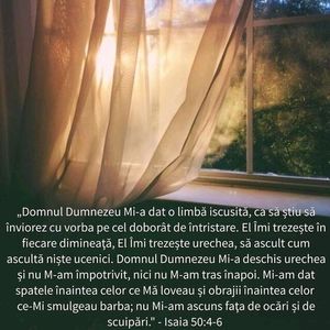 3A998697-C944-4952-A6AE-22556EDDE469