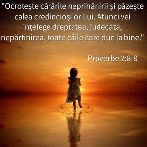 0372634D-E2E5-4ED1-BEB8-FF54F56A8149