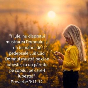 69899C61-CFC4-4D4F-B0B5-98EB872E5D0F