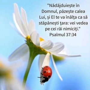 81DB1618-58E1-40D7-B91F-E6C850E463F5