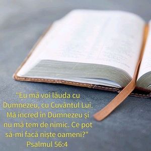 9BF4AA9A-E7B3-43F3-8562-E841315BA44B