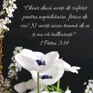 96447321-DA32-4C2F-9C48-BD2872774418