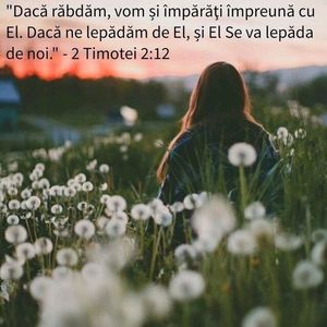 BEA2F0CD-4347-4F2F-9910-71C1314D7EEE