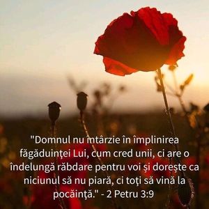 C1832F4C-C502-4321-B2AE-9D6F6536E44F