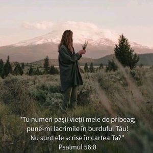 74397E80-0945-4013-B1BA-0DFABE8B0032