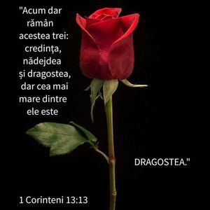 8B393E82-F7E9-40E5-81C7-8748DBC44BF8