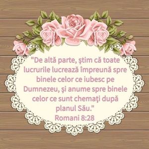 F447817B-CF3F-45DA-832C-D9327D11F705