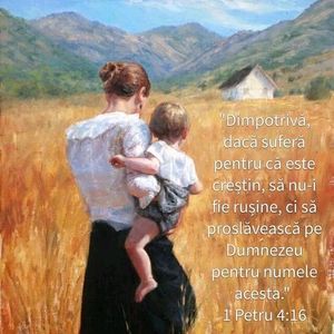 64EE76DE-F5AC-4FF6-8E9C-44CF15049EA0