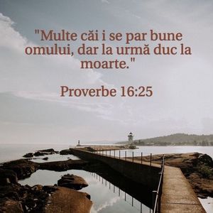 4672AD7C-F041-4935-91DE-E815CC9ACA55