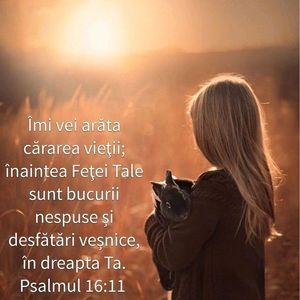 C82EBA27-7A8E-41DE-A289-6BD835B5A20A
