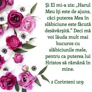 116E3BC3-F0AD-49F4-B1C5-B6382C5A0725