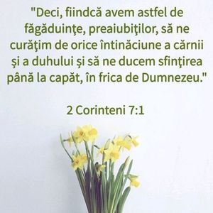 23D30B29-A6D0-460D-AE08-7FE4FB3B1A92