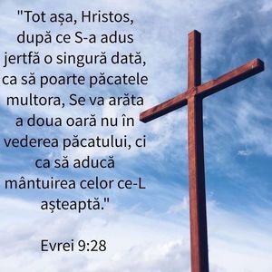 DD9E99EA-F9F3-4E3B-B237-B48CF2ACA989