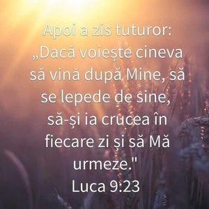 787B8700-32F8-4BAC-AB74-25DF7C3F3BD0
