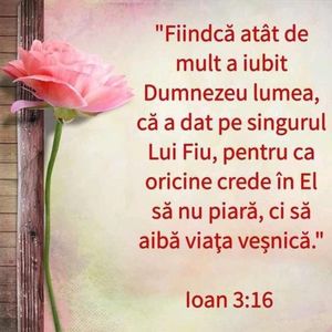31662579-996F-4E15-955E-9950576DCD15