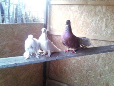 received_1914419845485855