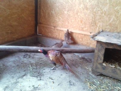 received_1914419675485872