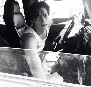 ⤑ᵖᶤᶰᵏĿЄ♏ØИÂÐЄ ┊ma multumesc sa stiu ce articol minunat ai din(clicl; cauza mea=)))
