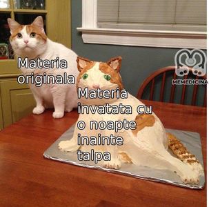 042330E0-59B1-426C-8CC3-9082BB4C19CA