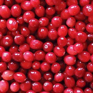 ING-cranberries-thumb1x1