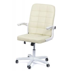 scaun-de-birou-OFF-332-crem-1; Scaune de birou cu brate rabatabile Office Color
Scaune de birou Office Color fabricate din piele ecologica ce poate fi utilizate la birou de persoane de toate varstele.
