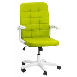 scaun-de-birou-332-verde-1n; Scaune de birou cu brate rabatabile Office Color
Scaune de birou Office Color fabricate din piele ecologica ce poate fi utilizate la birou de persoane de toate varstele.
