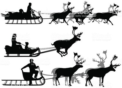 transport cu cerbul polar