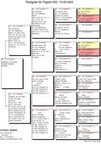 RO-15-031663-F-pedigree