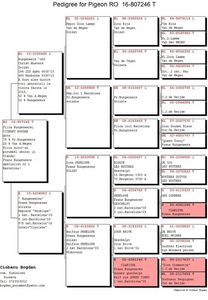 RO-16-807246-F-pedigree