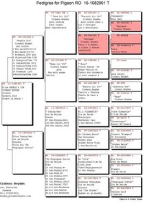 RO-16-1082901-F-pedigree