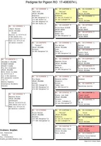 RO-17-4083074-M-pedigree