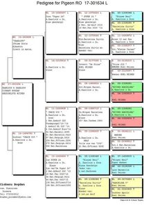 RO-17-301634-M-pedigree