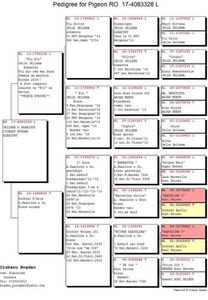 RO-17-4083328-M-pedigree