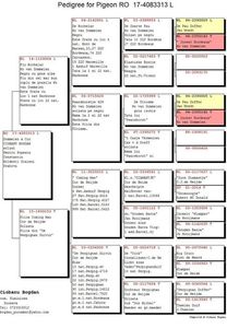 RO-17-4083313-M-pedigree