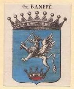 BLAZON and The Banffy Genealogy and Family Tree Page; In heraldry and heraldic vexillology, a blazon is a formal description of a coat of arms, flag or similar emblem, from which the reader can reconstruct the appropriate image. 

https://www.genealogyto
