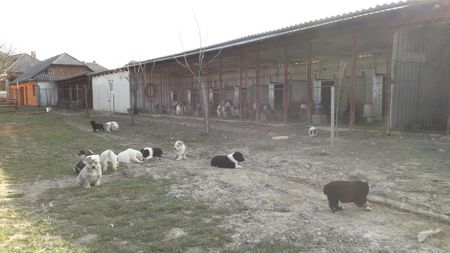 28 . 03 . 2019 .
