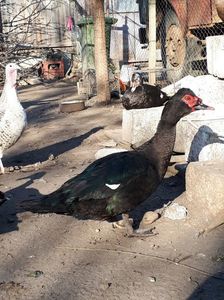 20190317_161359(0)