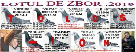 2 LOT