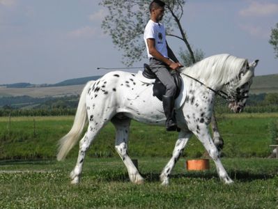P7240041