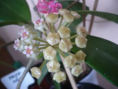 P1400795