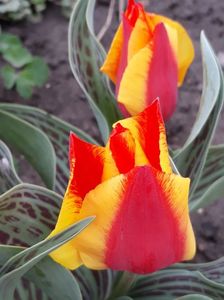 20190408_163124(0)