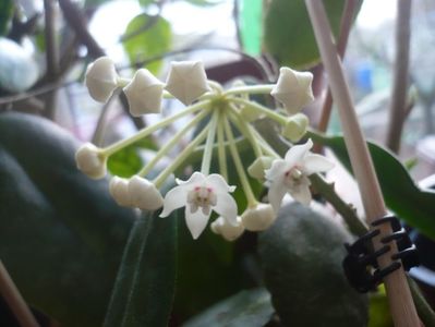P1400805