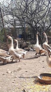 VideoCapture_20190330-194355